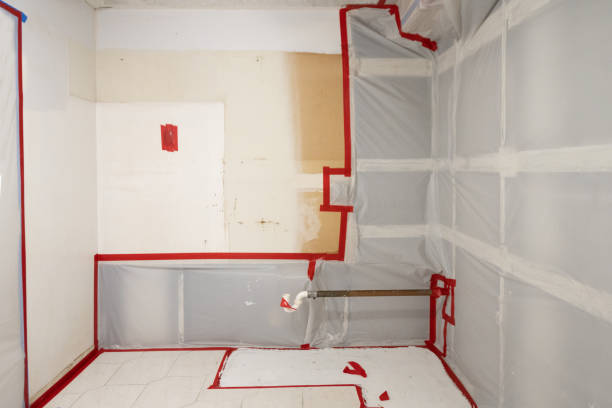 Best Post-Construction Mold Inspection  in Makakilo, HI