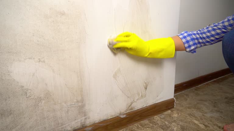 Mold Remediation for Rental Properties in Makakilo, HI