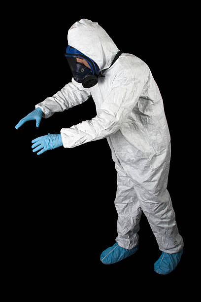 Best Asbestos and Lead Testing During Mold Inspection  in Makakilo, HI